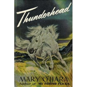 Thunderhead cover